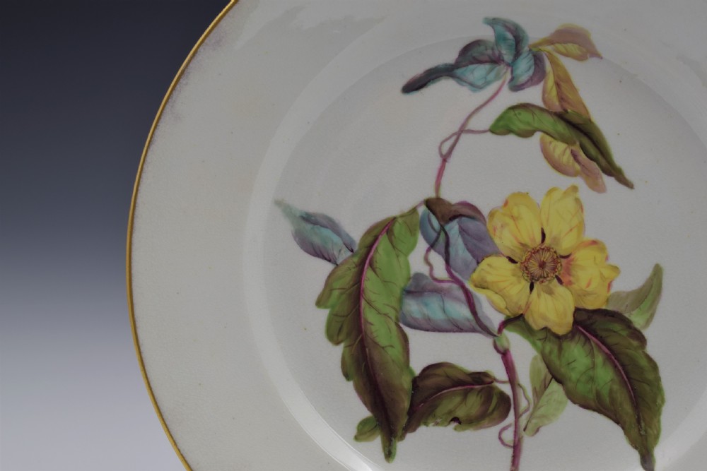 Derby Porcelain Botanical Dessert Plate c.1806 Toothed Leaved Hibbertia View VI