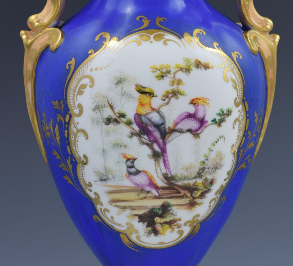 Large Coalport Vase With Sevres Style Birds By Randall c.1845 View VI