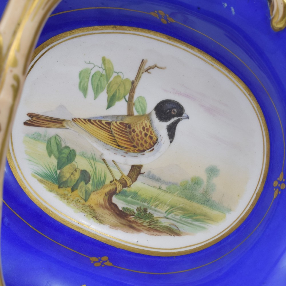Fine & Large Alcock Rococo Porcelain Ornithological Basket c.1845 View X