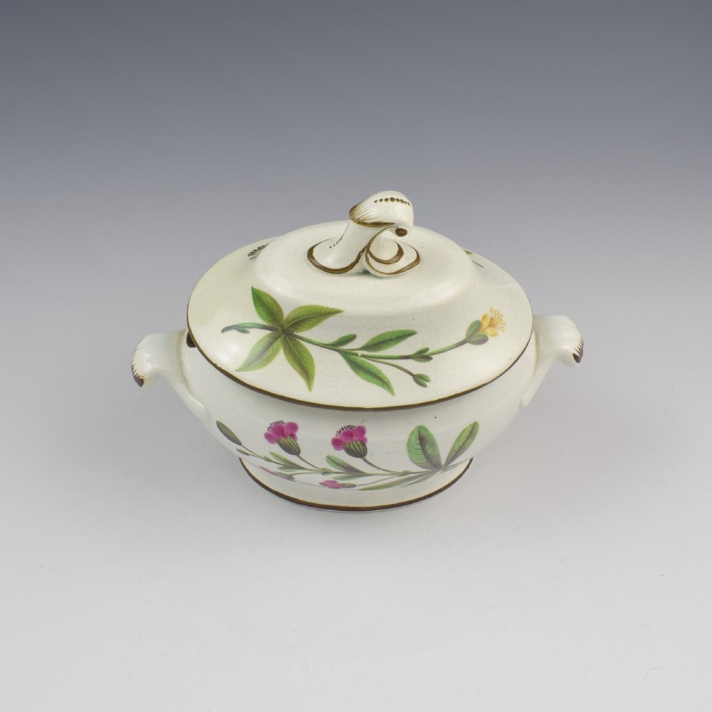 Swansea Pearlware Botanical Sauce Tureen C.1810 B View V