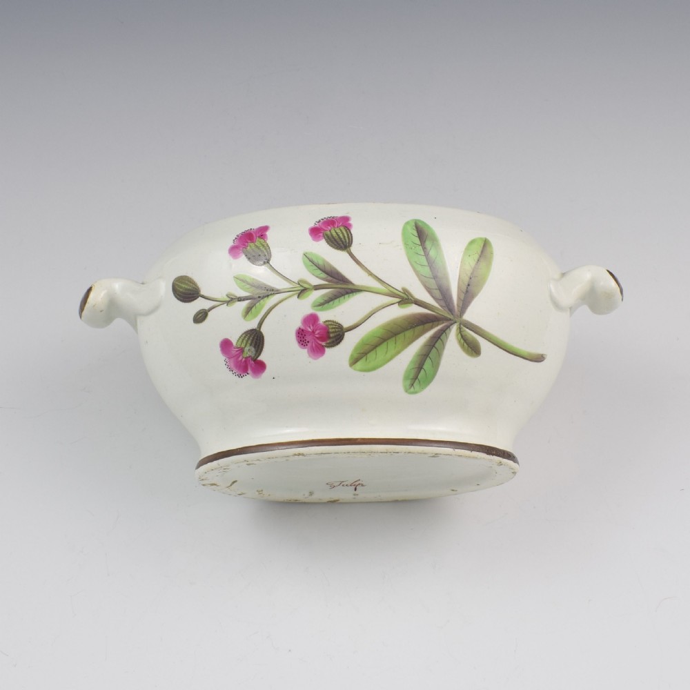 Swansea Pearlware Botanical Sauce Tureen C.1810 B View XI