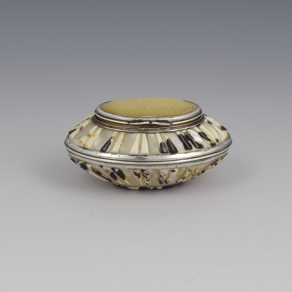 Fine Georgian Carved Cowrie Shell & Silver Snuff Box c.1800 View III
