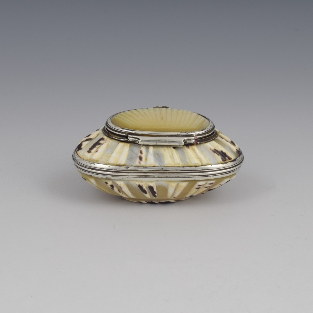 Fine Georgian Carved Cowrie Shell & Silver Snuff Box c.1800 View V