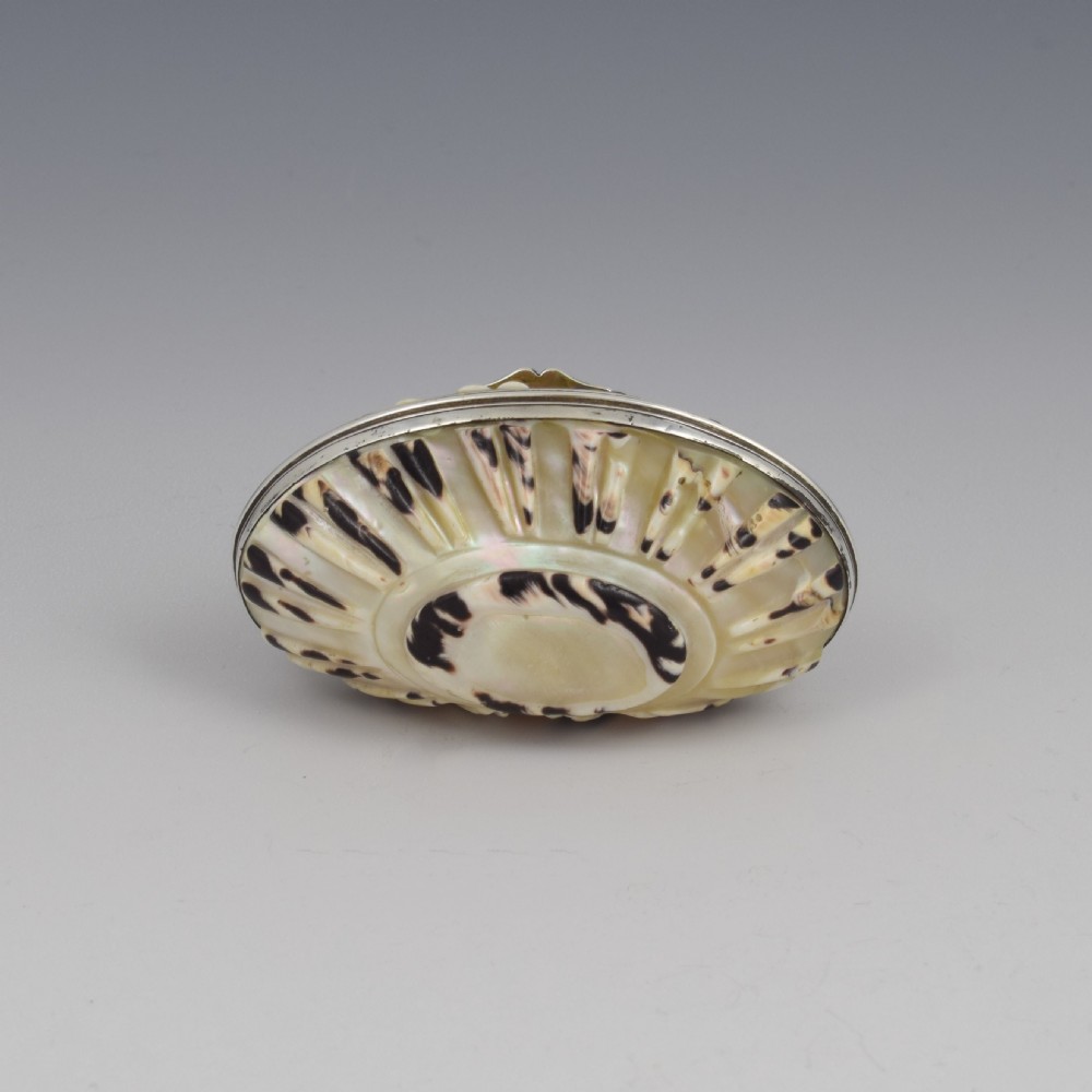 Fine Georgian Carved Cowrie Shell & Silver Snuff Box c.1800 View VI