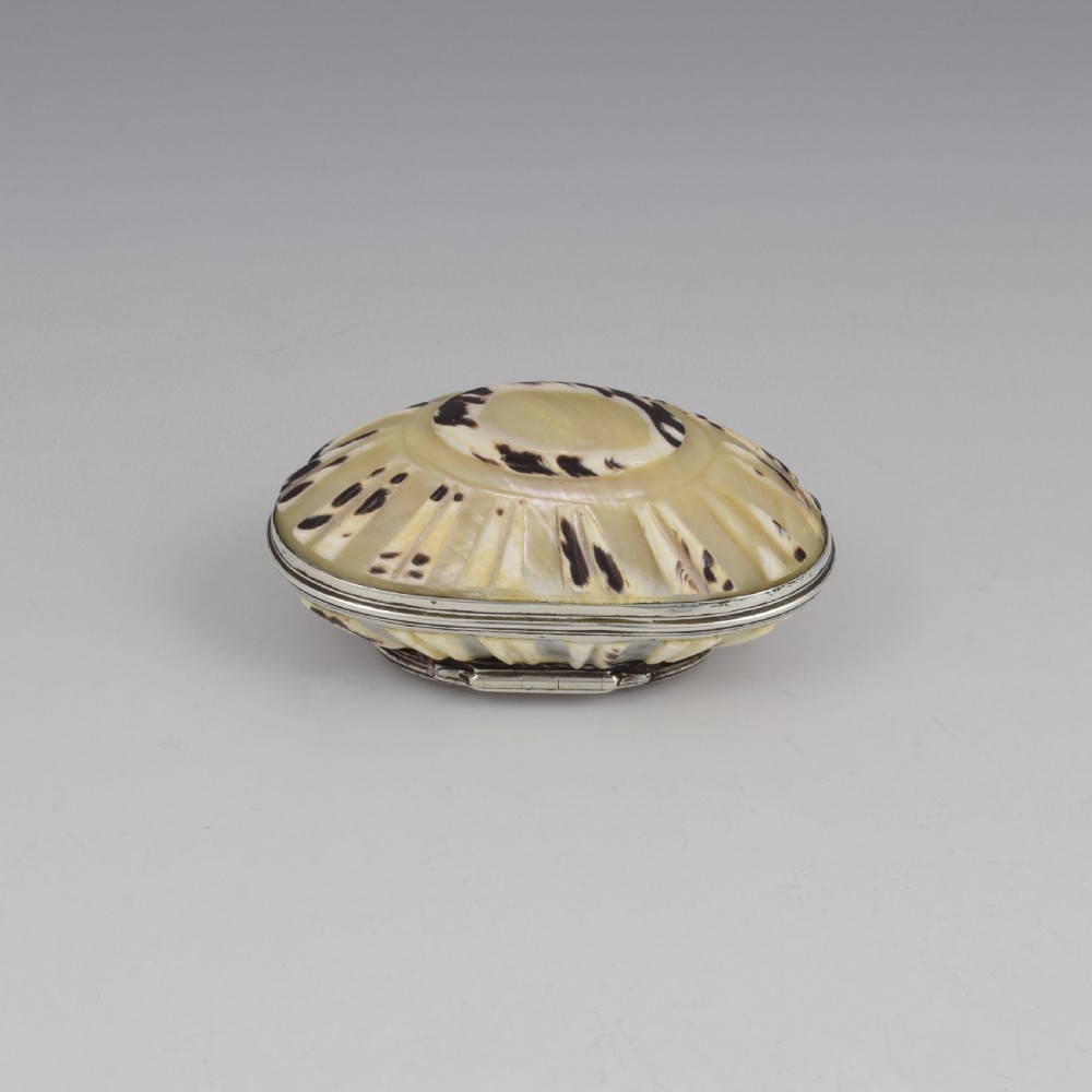 Fine Georgian Carved Cowrie Shell & Silver Snuff Box c.1800 View VII