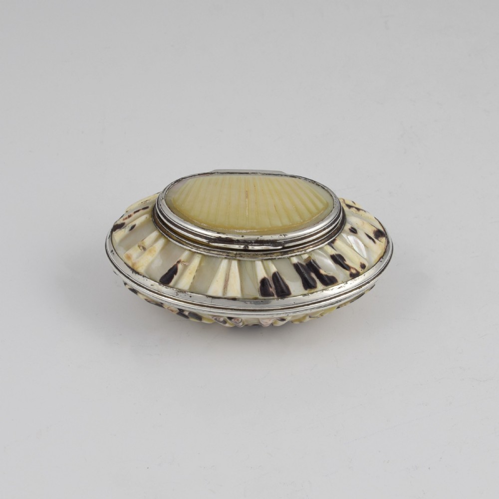 Fine Georgian Carved Cowrie Shell & Silver Snuff Box c.1800 View VIII