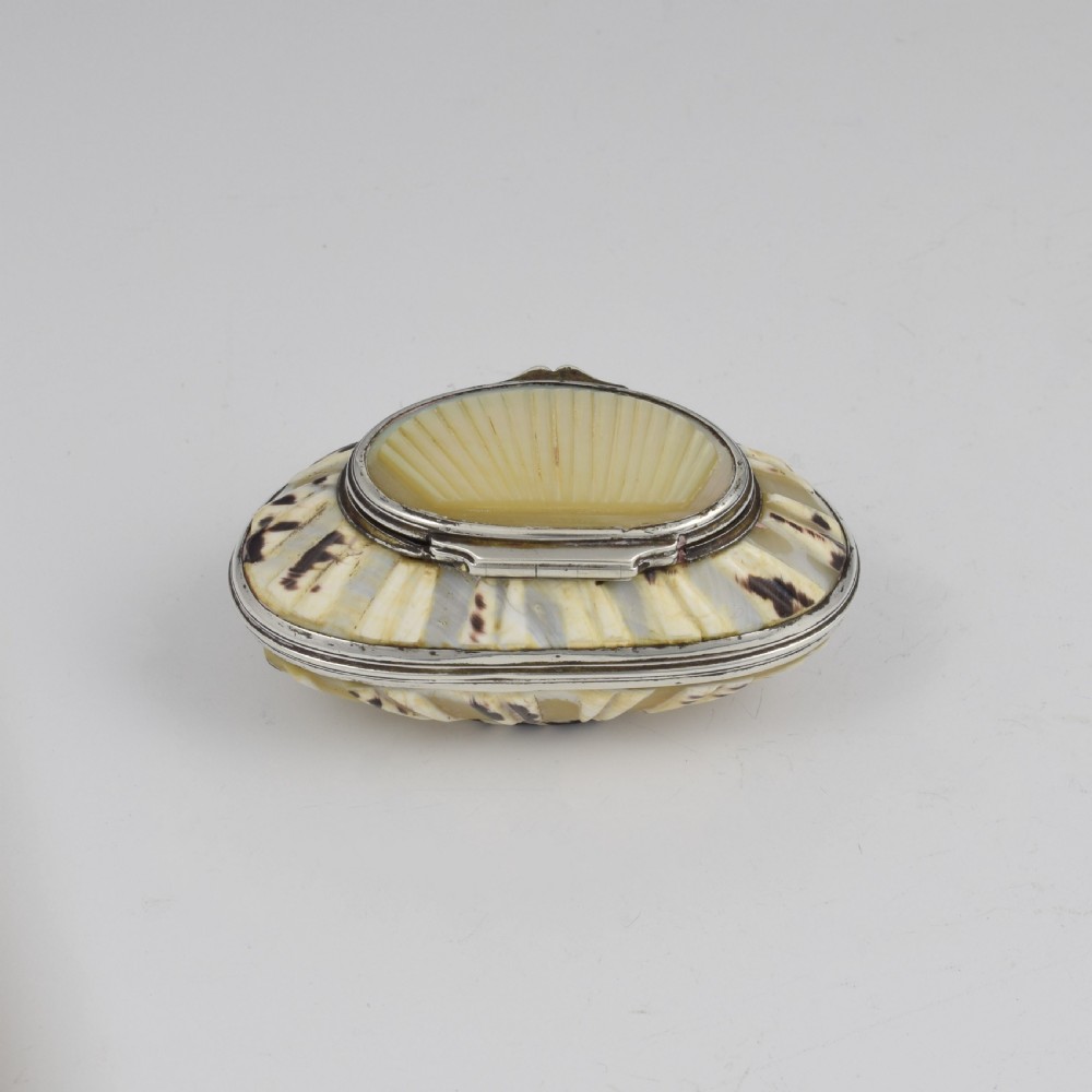 Fine Georgian Carved Cowrie Shell & Silver Snuff Box c.1800 View IX