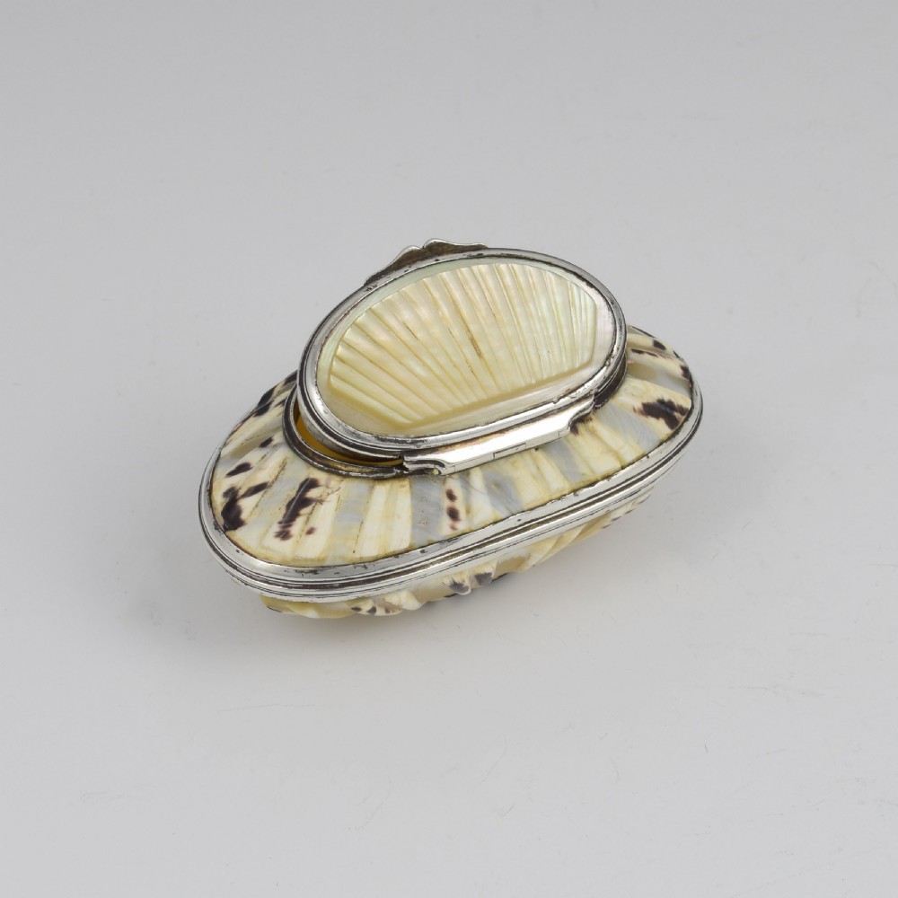 Fine Georgian Carved Cowrie Shell & Silver Snuff Box c.1800 View X