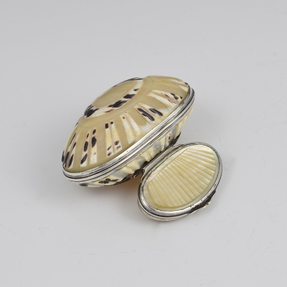 Fine Georgian Carved Cowrie Shell & Silver Snuff Box c.1800 View XI