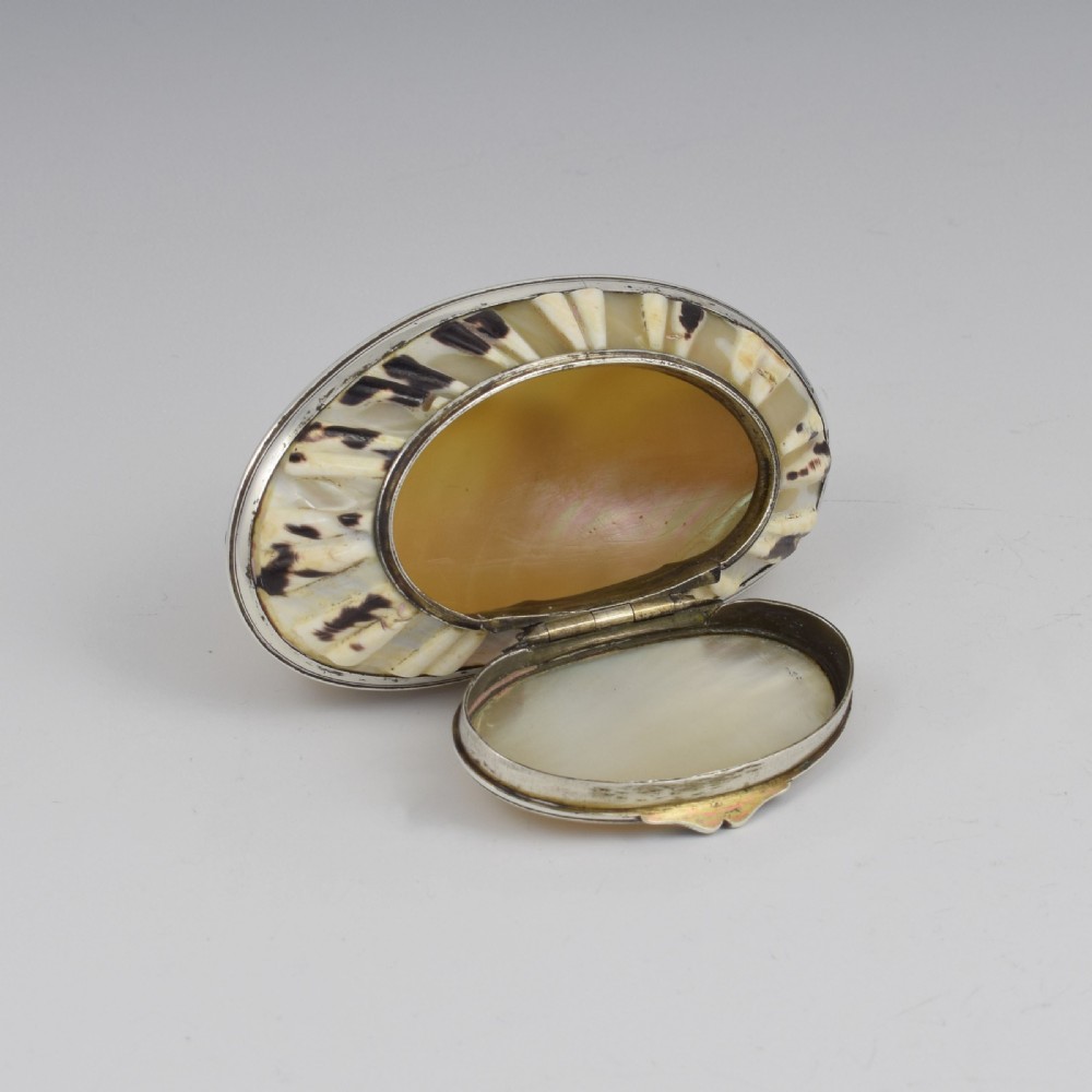 Fine Georgian Carved Cowrie Shell & Silver Snuff Box c.1800 View XII