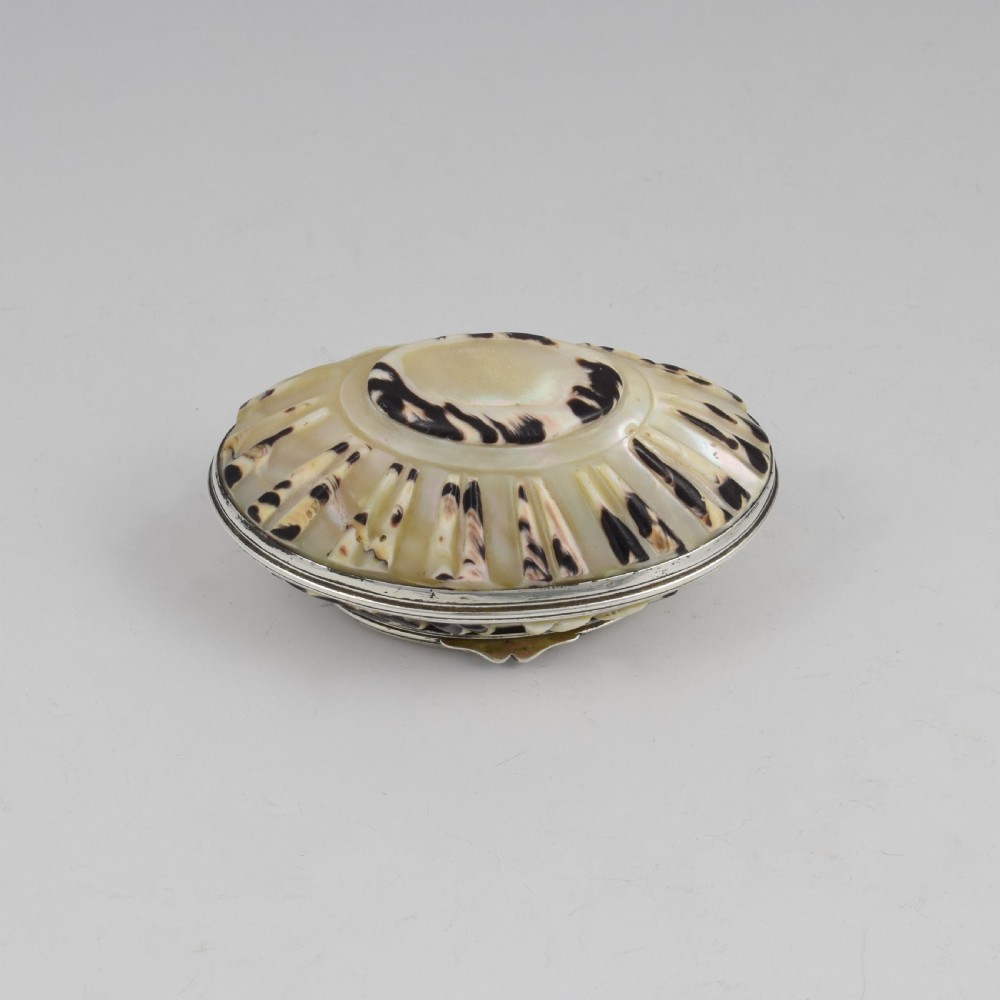Fine Georgian Carved Cowrie Shell & Silver Snuff Box c.1800 View XIII