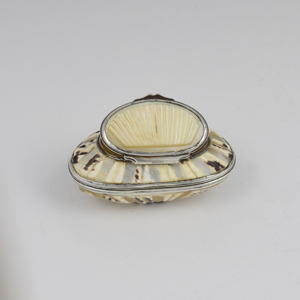 Fine Georgian Carved Cowrie Shell & Silver Snuff Box c.1800 View XIV