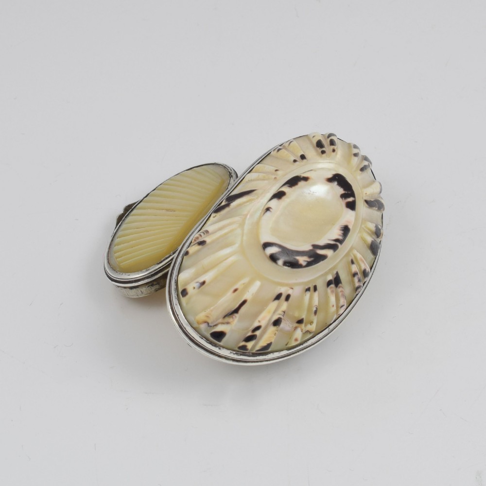 Fine Georgian Carved Cowrie Shell & Silver Snuff Box c.1800 View XV