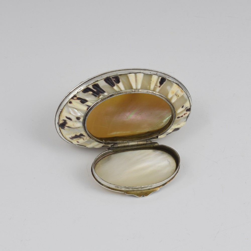 Fine Georgian Carved Cowrie Shell & Silver Snuff Box c.1800 View XVI