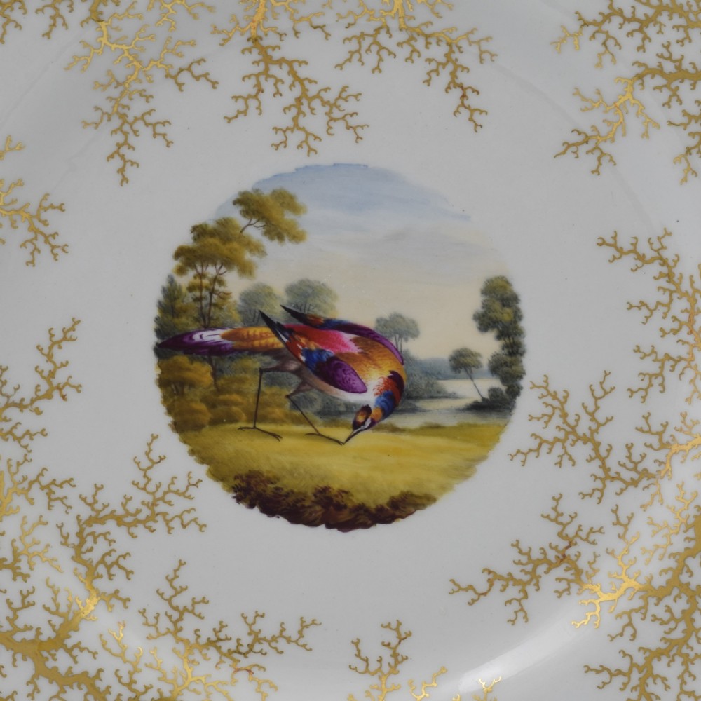 Flight Barr & Barr Worcester Porcelain Fancy Bird Dessert Plate c.1815 View III