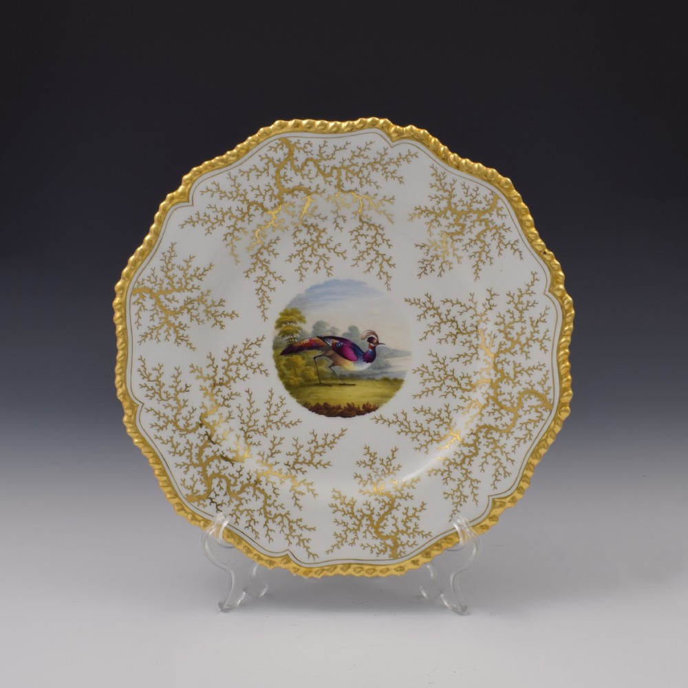 Flight Barr & Barr Worcester Porcelain Fancy Bird Dessert Plate c.1815