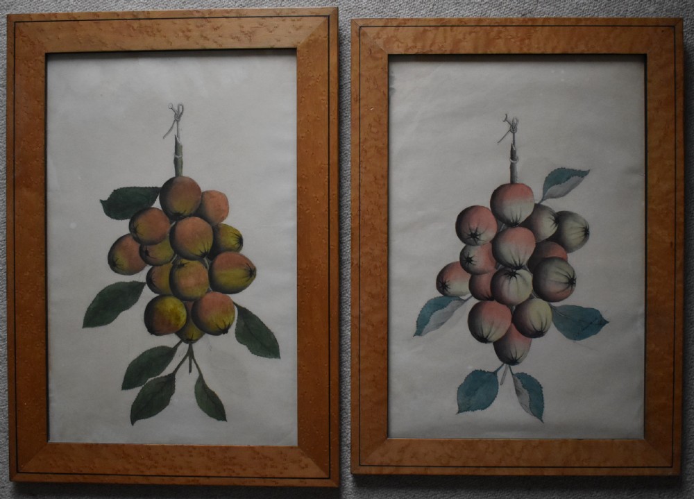 A pair of late 19th-century watercolour paintings depicting suspended bunches of apples with leaves, presented in light wood frames.