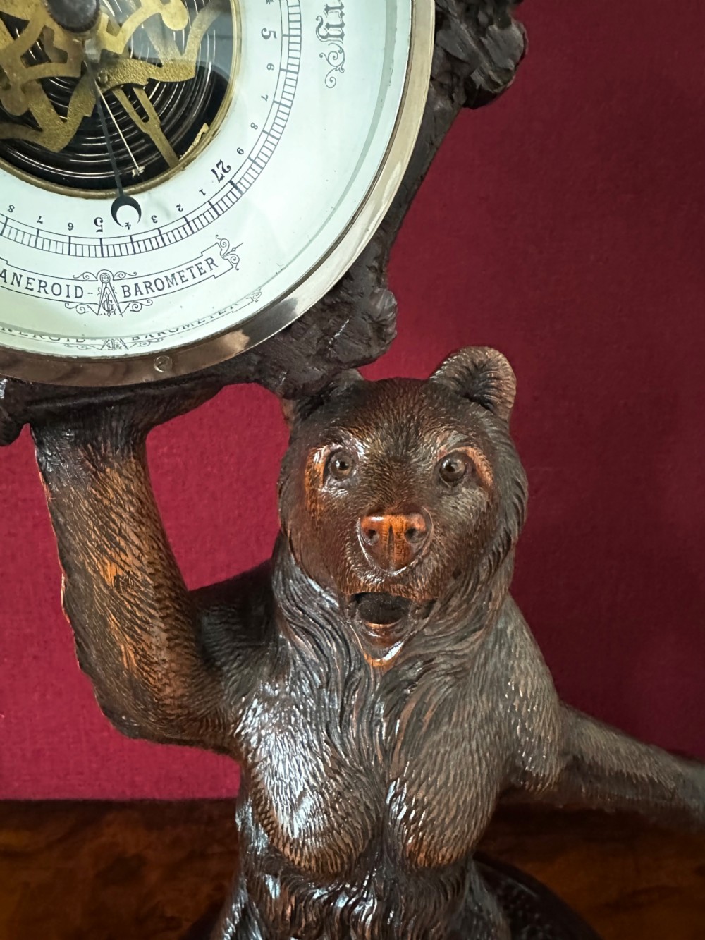 Black forest carved Bear circa 1920 View III