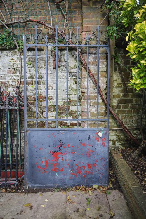 ANTIQUE FRENCH IRON GATE AND RAILINGS - ADDITIONAL PHOTO 4