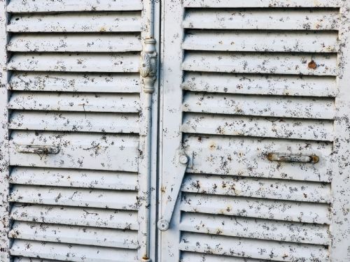 ANTIQUE FRENCH PAINTED SHUTTERS - ADDITIONAL PHOTO 5