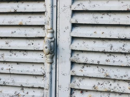 ANTIQUE FRENCH PAINTED SHUTTERS - ADDITIONAL PHOTO 7