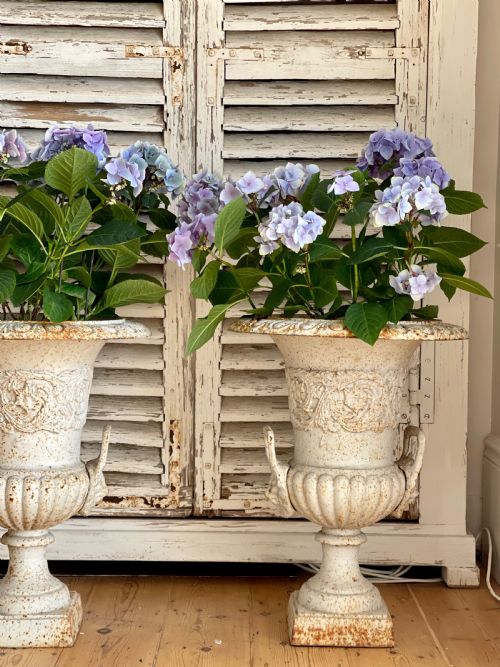PAIR OF LARGE FRENCH CAST IRON PLANTERS - ADDITIONAL PHOTO 3