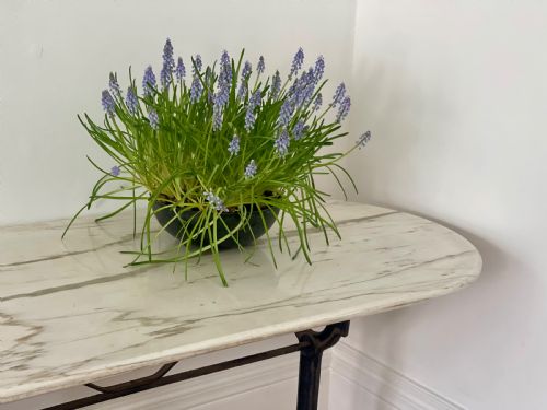ANTIQUE FRENCH MARBLE AND IRON BISTRO GARDEN TABLE - ADDITIONAL PHOTO 5