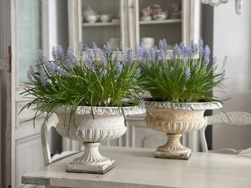 PAIR OF LARGE ANTIQUE FRENCH CAST IRON PLANTERS - ADDITIONAL PHOTO 6