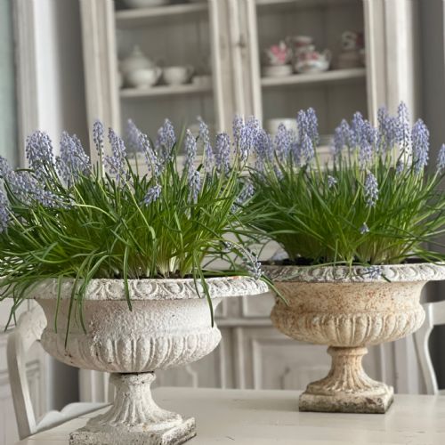 PAIR OF LARGE ANTIQUE FRENCH CAST IRON PLANTERS - ADDITIONAL PHOTO 7