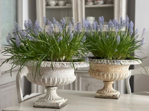 PAIR OF LARGE ANTIQUE FRENCH CAST IRON PLANTERS - ADDITIONAL PHOTO 9