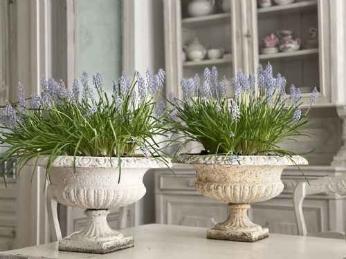 pair of large antique french cast iron planters - CATEGORY: ANTIQUE METAL - DATED 1900