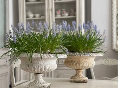 PAIR OF LARGE ANTIQUE FRENCH CAST IRON PLANTERS - ADDITIONAL PHOTO 10