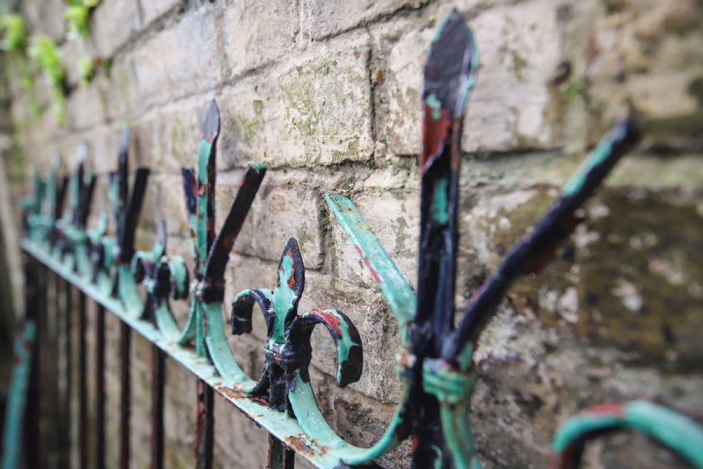 Antique French iron gate and railings View IV