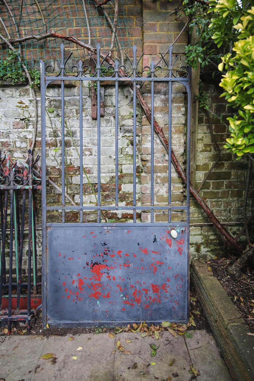 Antique French iron gate and railings View V