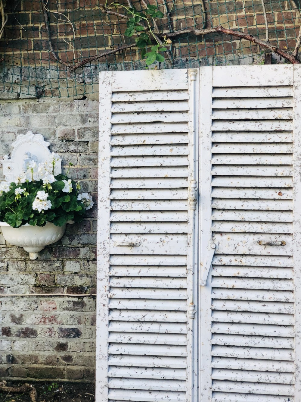 Antique French painted shutters 