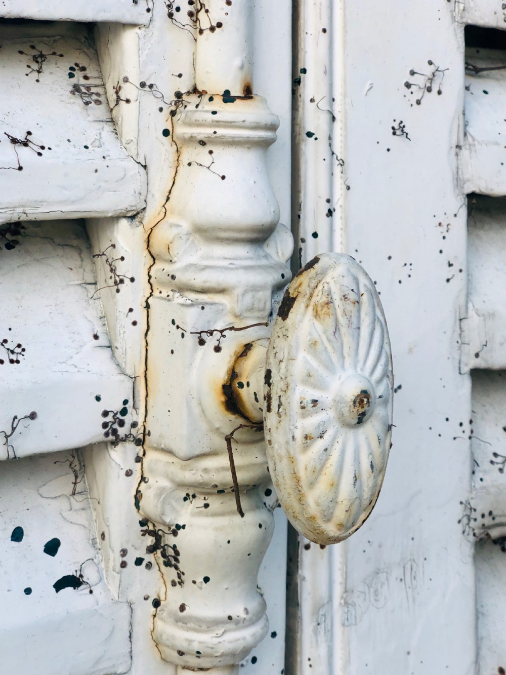 Antique French painted shutters  View III