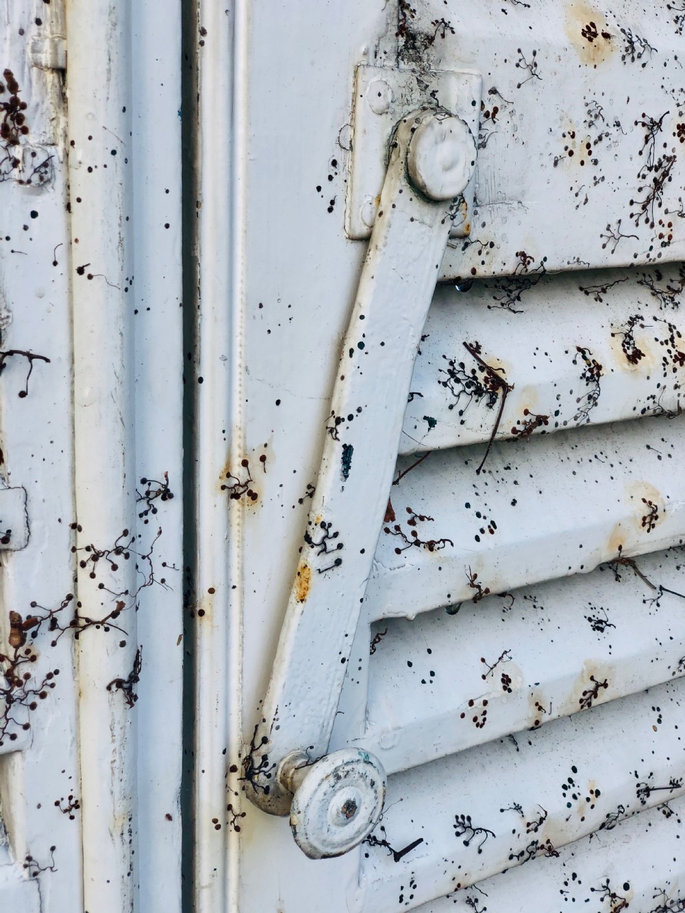 Antique French painted shutters  View IV