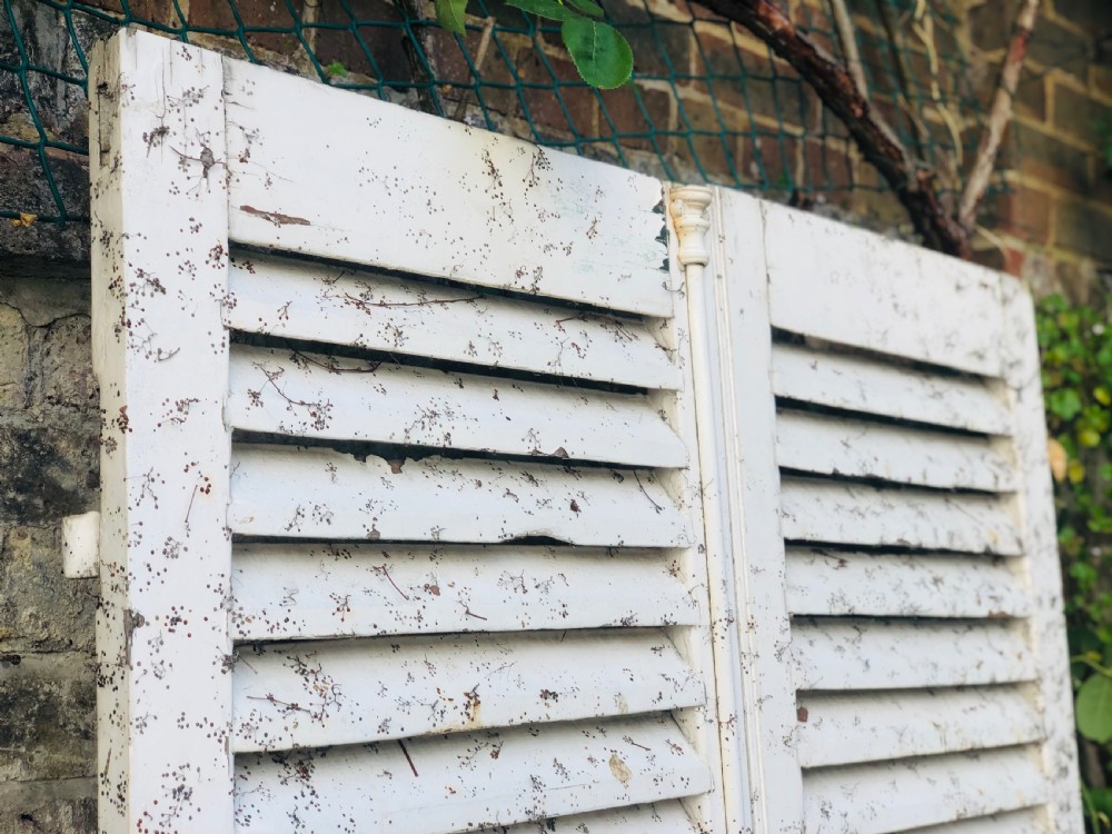 Antique French painted shutters  View V