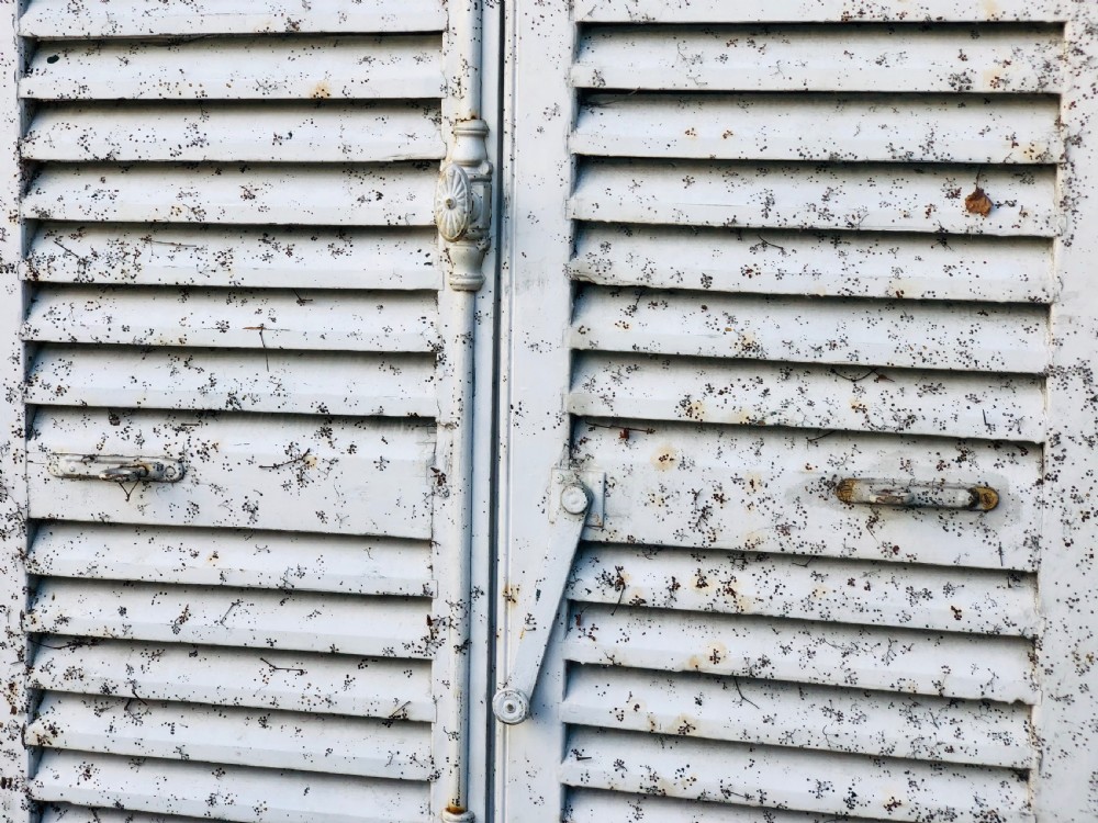 Antique French painted shutters  View VI