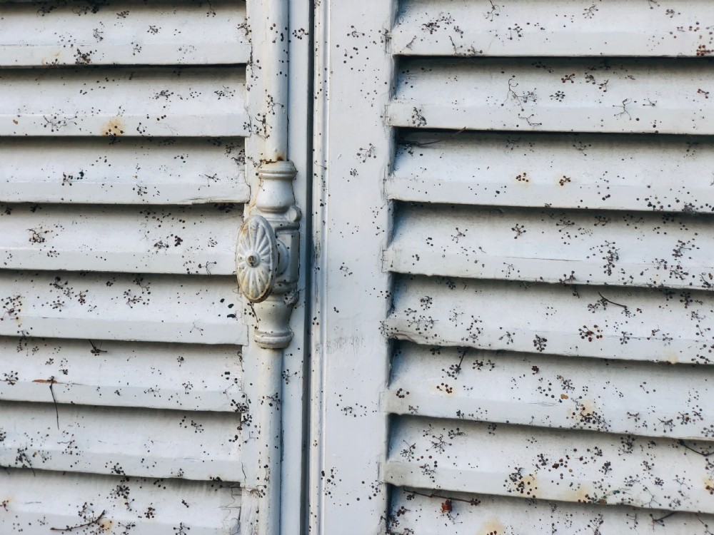Antique French painted shutters  View VIII