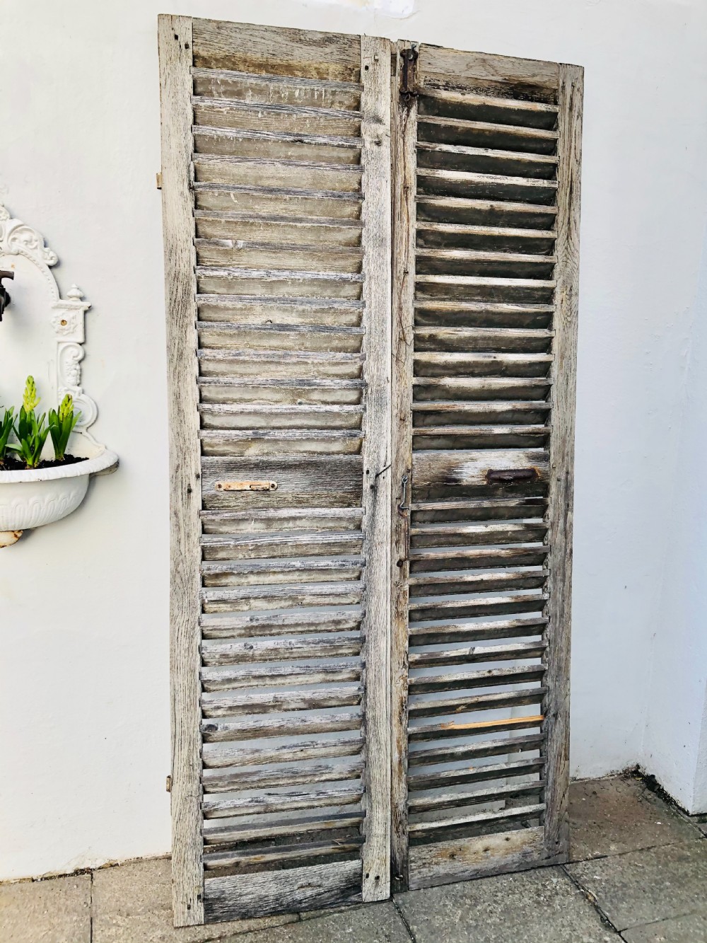 Antique French oak shutters 