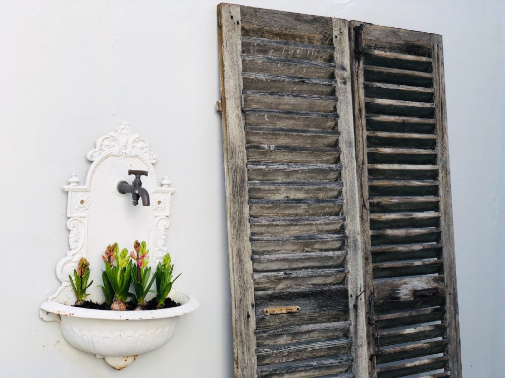 Antique French oak shutters  View III