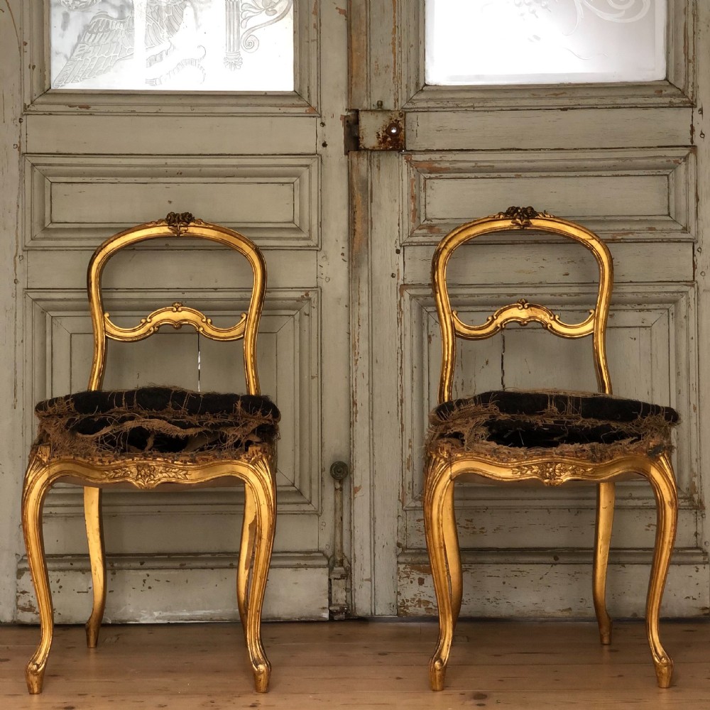 Antique French Louis XVI gilt chairs 