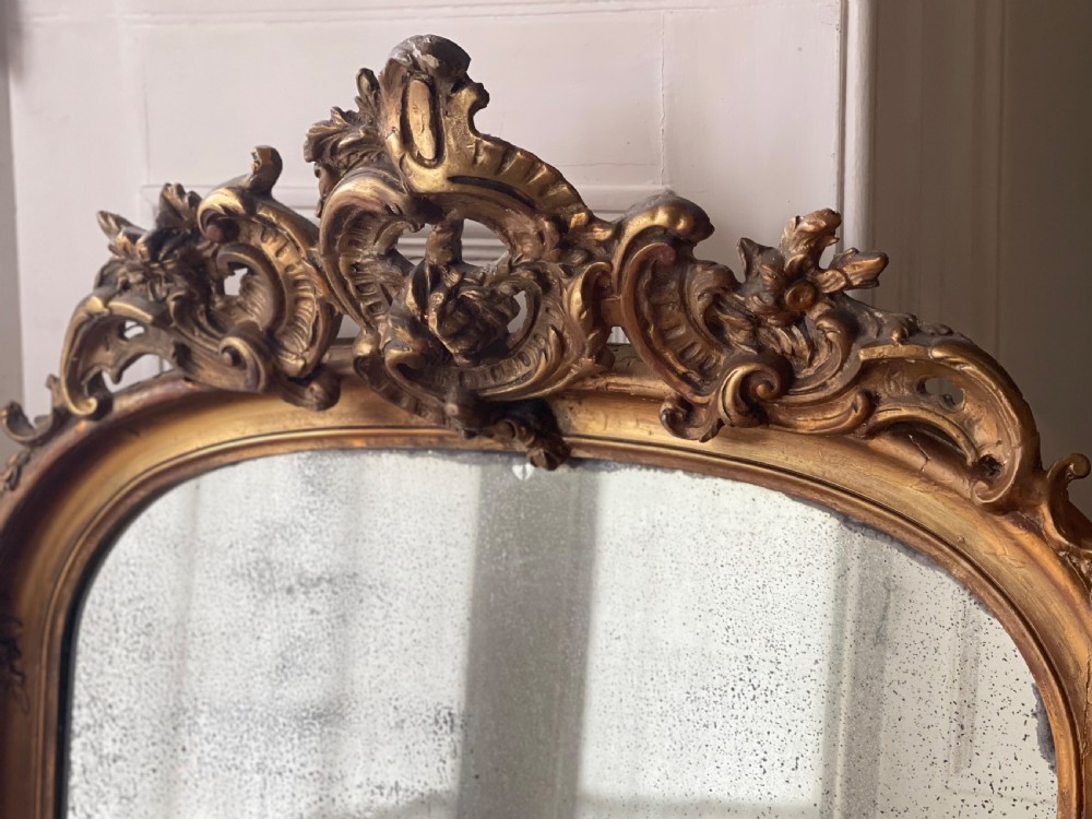 19th century French gilt Louis XV mirror View XI
