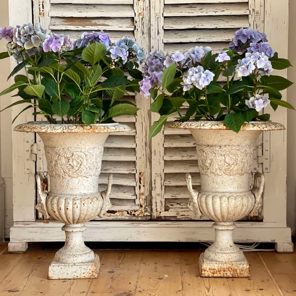 Pair of large  French cast iron planters 