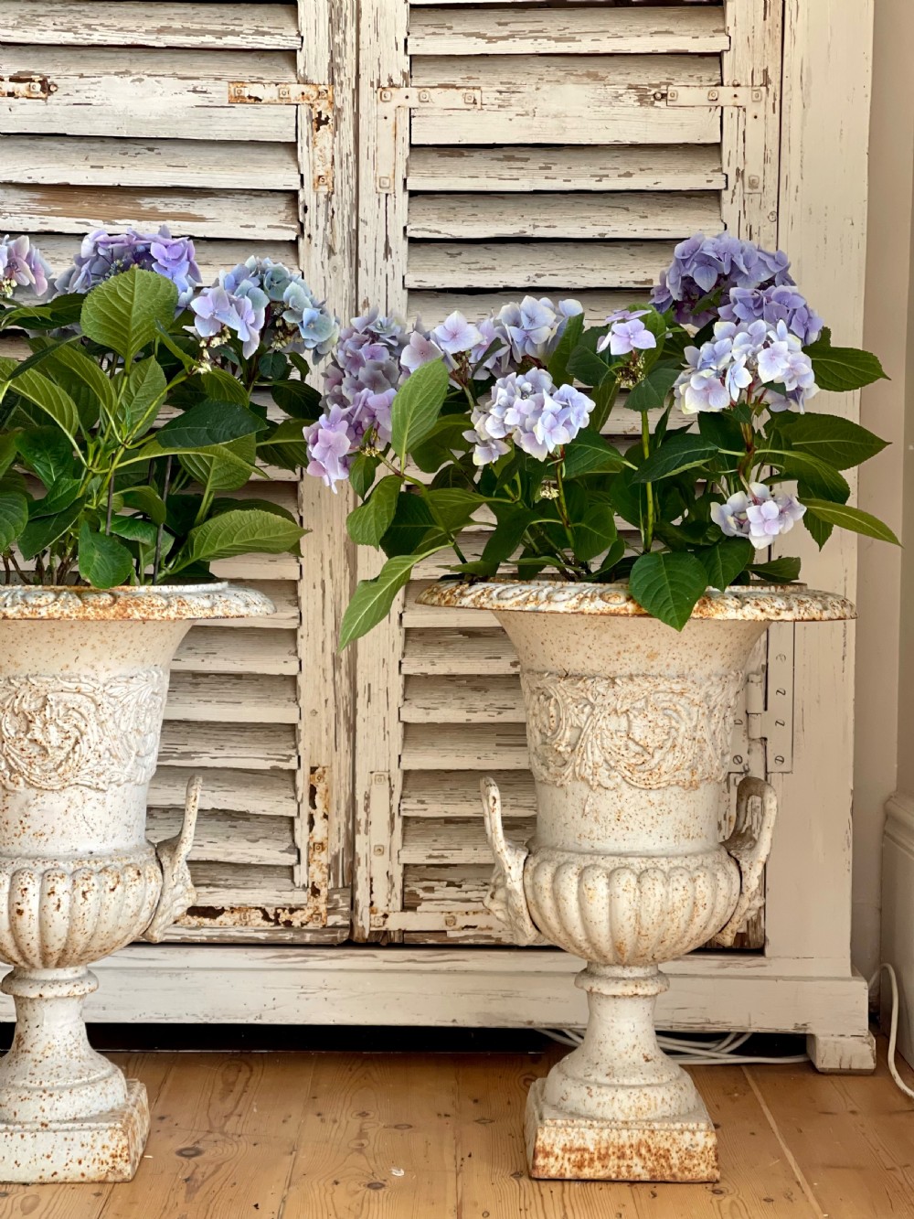 Pair of large  French cast iron planters  View III