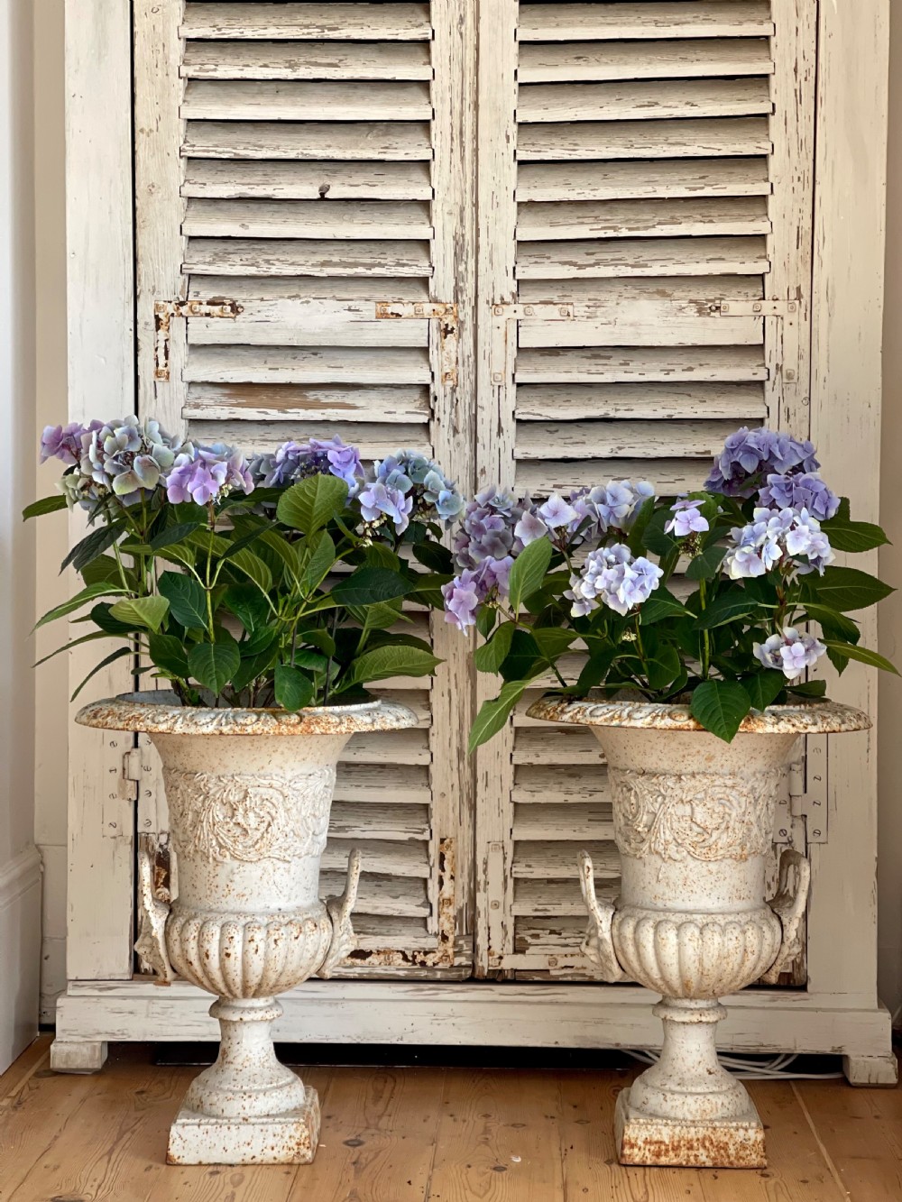 Pair of large  French cast iron planters  View IV