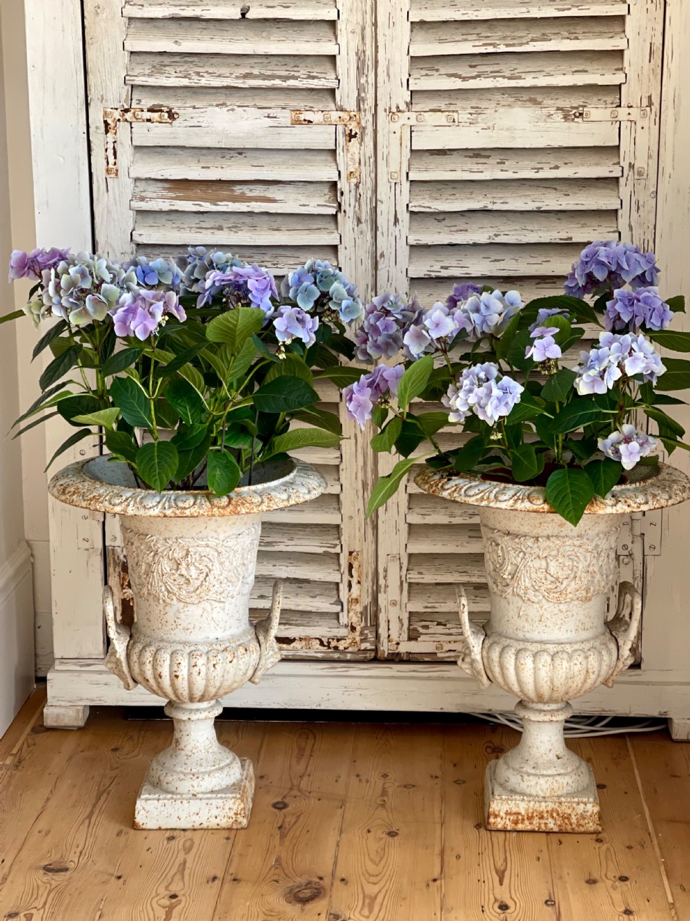 Pair of large  French cast iron planters  View V