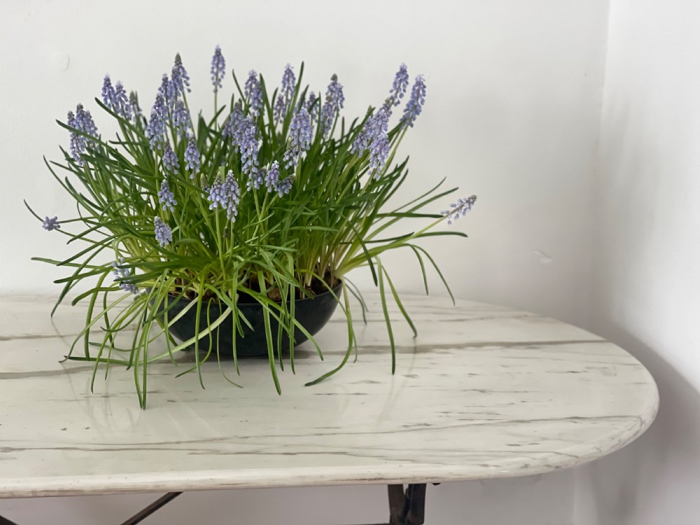 Antique French marble and iron bistro garden table  View VIII