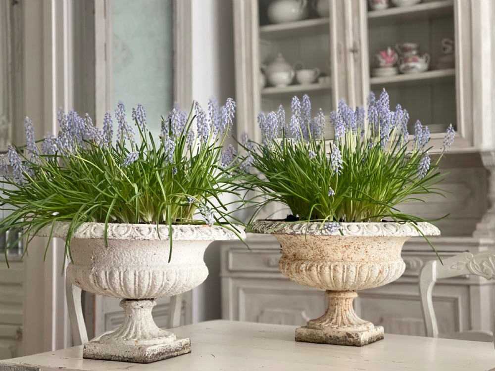 Pair of large antique French cast iron planters View II